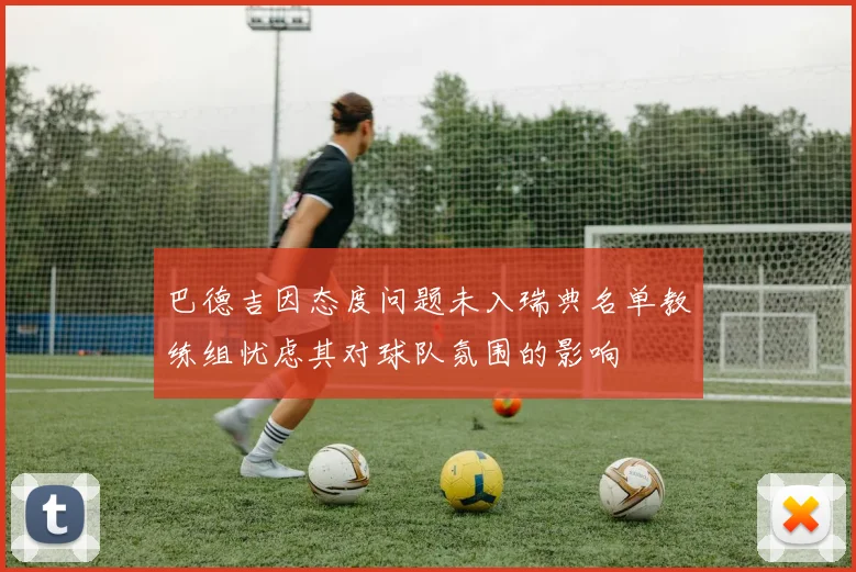 巴德吉因态度问题未入瑞典名单教练组忧虑其对球队氛围的影响